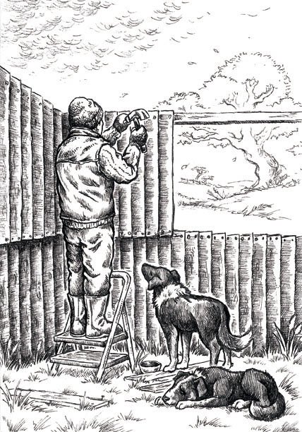 Emma Howitt Illus. tweet media