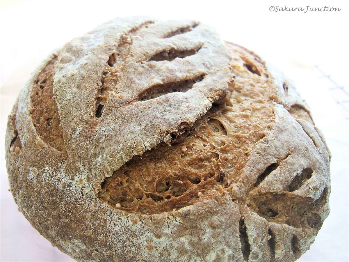 SakuraJunction's tweet photo. マルチシード #自家製酵母 パン クープ練習中
#Multiseeded #Sourdough Bread - Need better knife 4 scoring!
#baking #Bread #artisanbread #HomeMade #ベーキング #パン作り #パン https://t.co/EIzLmxw2DA