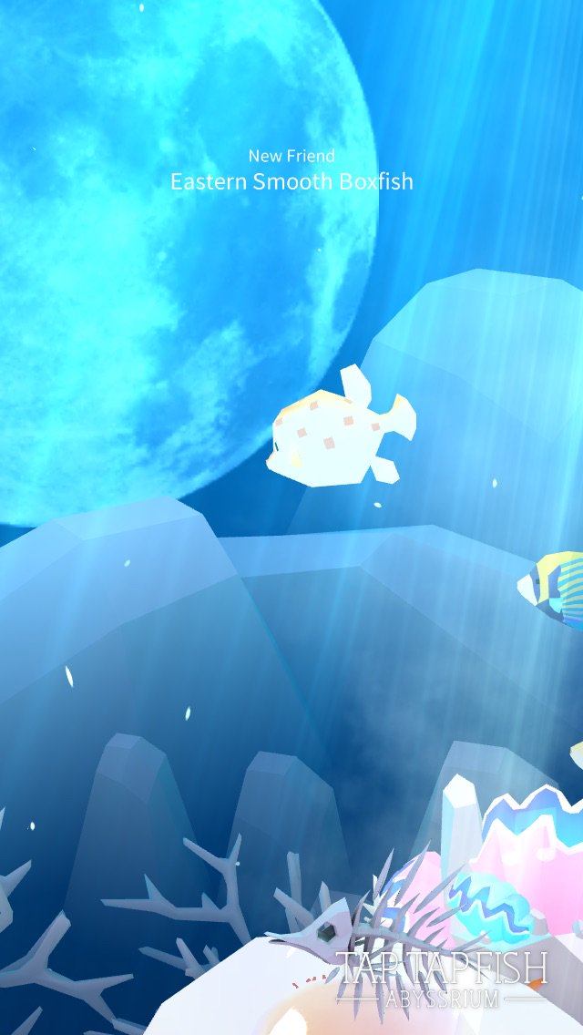 WangLiSha's tweet photo. My Eastern Smooth Boxfish:) 
#taptapfish
Download: https://t.co/uF7yjGnyFT https://t.co/FyQIgRVosv