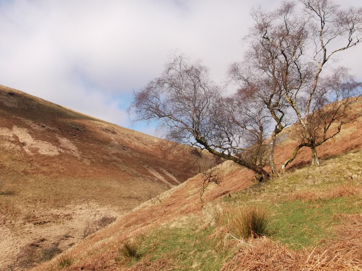Powys Moorland Partnership Visit <a href="/WelshUplands/">Powys Moorland Partnership</a> Ireland Moor 13/10 Improving natural habitat &amp; grazing Register here ow.ly/PyiZ30feBDh