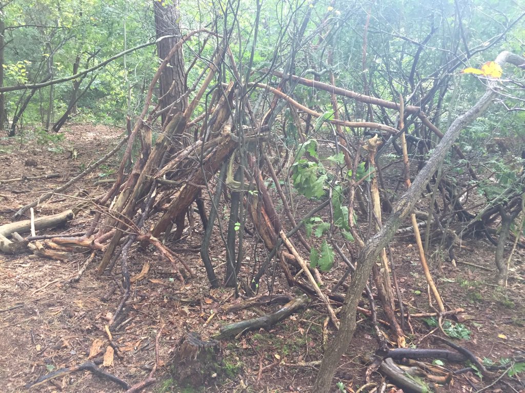 GroepvanRob's tweet photo. De eerste boomhutten staan inmiddels rondom het kamphuis. #schoolkamp #obsdetoermalijn https://t.co/ItlL7hevG0