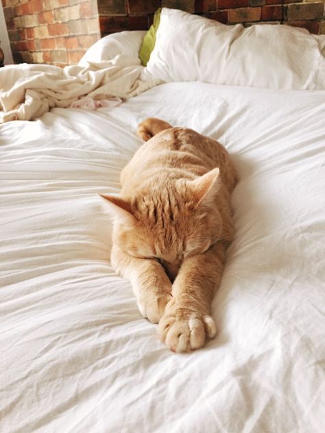 PrettyNewDaisy's tweet photo. Those feels. #fbloggers #bbloggers https://t.co/nIAqle1USY