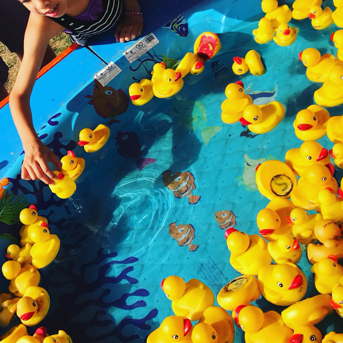 arisacox's tweet image. Small town fairs are the best! Thank you @actonfallfair for a glorious time making memories #countryliving #actonfallfair