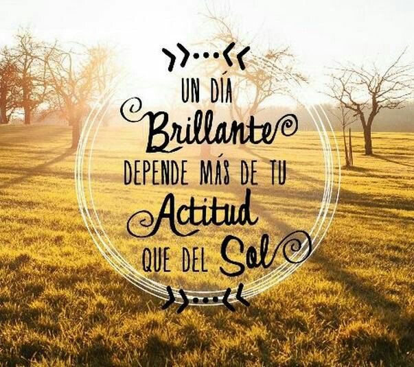 Espacio_Frases's tweet photo. https://t.co/F6xg5FbyA4