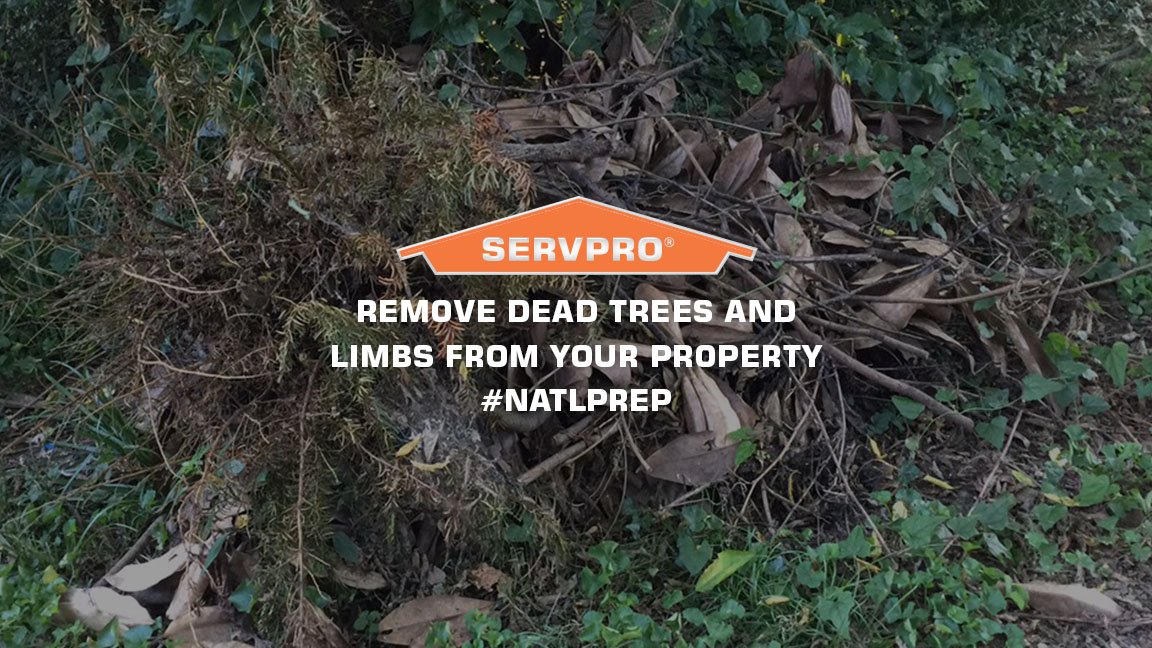 Prepare for wildfires and strong winds by removing dead trees and limbs from your property #NatlPrep