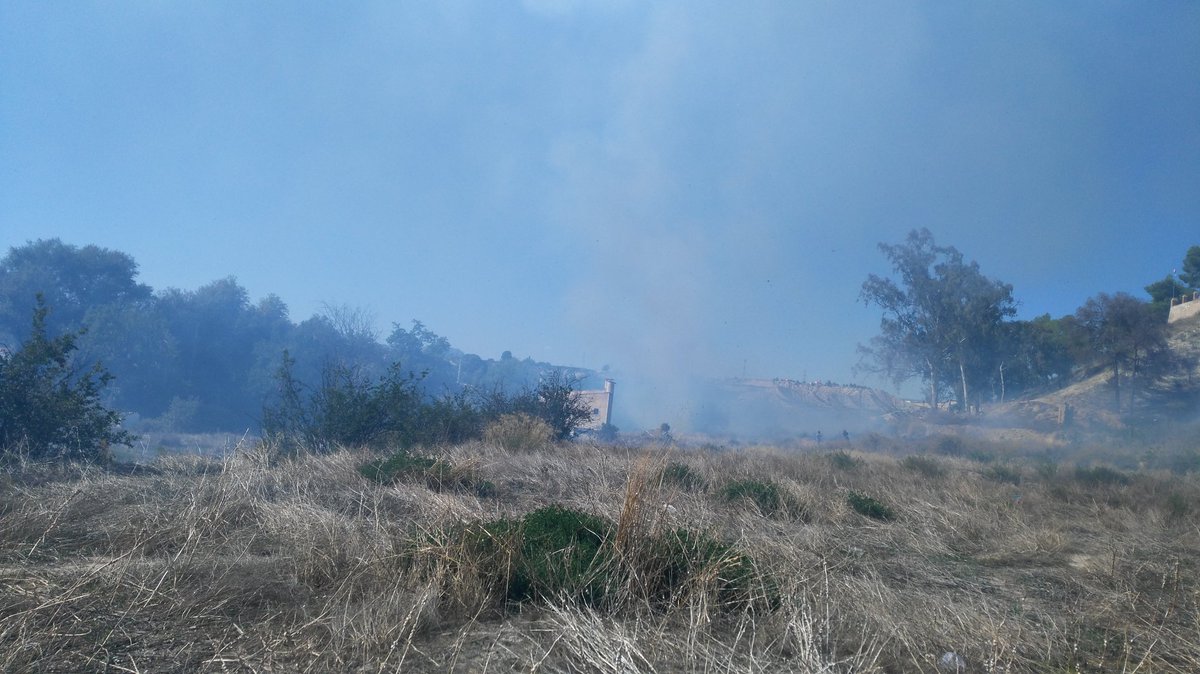 RemerTango520's tweet photo. Incendio de cañas,margen izquierdo Río Segura, km  crta B19 #Cieza.BOMBEROS EN EL LUGAR. CONTROLADO
Info. Compañeros https://t.co/u1Ui96ICtP https://t.co/teqgDjdB7Q