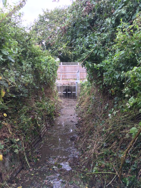 Our #Swale Team has just cleared the undergrowth from the #Iwade Stream in #Kent