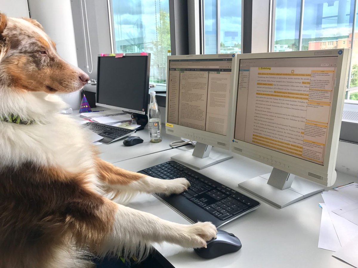DjangoPhysics's tweet photo. Just doin' some proof reading. These Bachelor students have no idea about scientific writing. #science #GoodForNothings https://t.co/cBpw8CEz0q