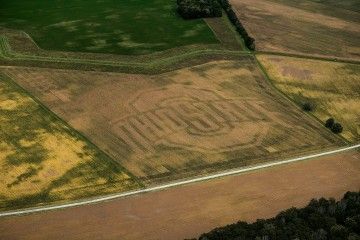 OSUengineering's tweet photo. #Buckeye pride? Sure. But this cornfield also reveals the power of #smartplanting says engineer Andrew Klopfenstein. https://t.co/qqsLvD22Su https://t.co/DnpVyq24OG