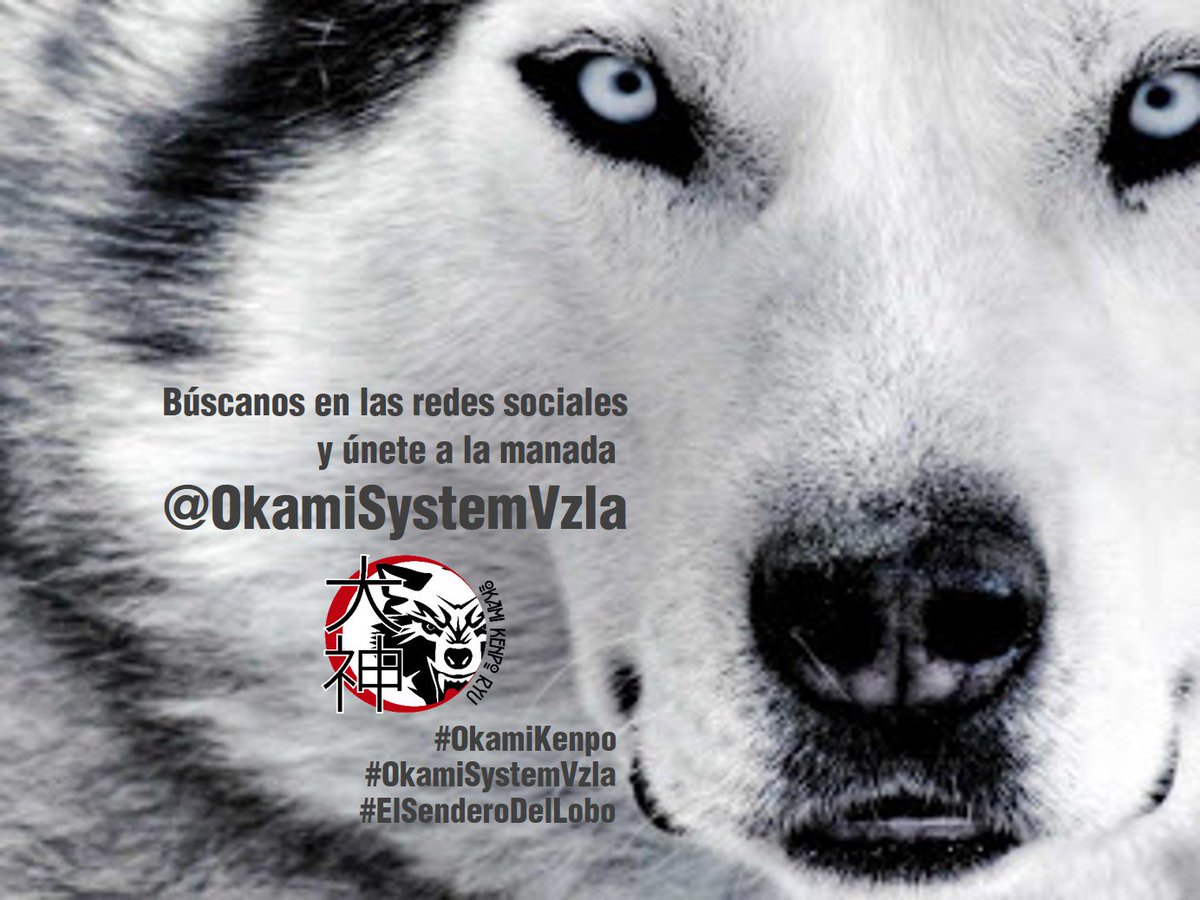 OkamiSystemVzla's tweet photo. #OkamiSystem
#OkamiKenpo
#ElSenderoDelLobo https://t.co/gYLQ3guz6y