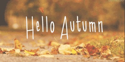 FoxHomeLLC's tweet photo. Ready for FALL!? Have you thought about what maintenance your home may need to prepare for the months ahead? 

https://t.co/cqMkC0VvkN https://t.co/6nKr1qadA5