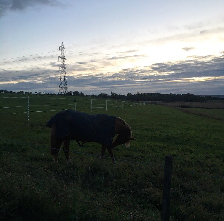 hollie_berries_'s tweet photo. Gorgeous evening with a definite autumn chill in the air, I even had my winter parka on! 🍂 #hiautumn #WinterIsComing #aberdeenshire https://t.co/hIiuHEIVbU