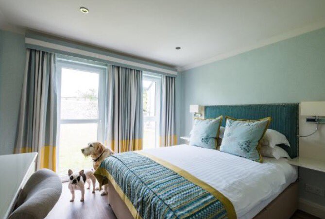 PawsintheVale's tweet photo. We've been on a #dogfriendly guide of Llantwit Major, eat, shop &amp; stay with your dog - there's even doggy ice cream https://t.co/op30s2Y8nE https://t.co/n5Tmv5TVaX