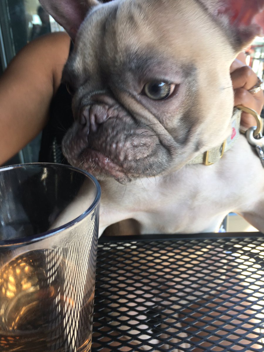 IndustryNightIn's tweet photo. Rockin lunch today! @KumasWestLoop @TheBestLoop #NationalCheeseburgerDay #dogfriendly #MondayFunday #westloopdining ๐ค https://t.co/BLzJQ96iU4