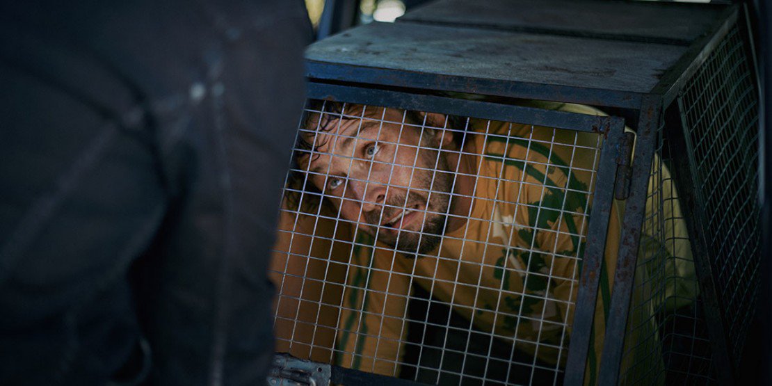 nofilmschool's tweet image. What was the most popular camera at TIFF this year? bit.ly/2jBMC8c