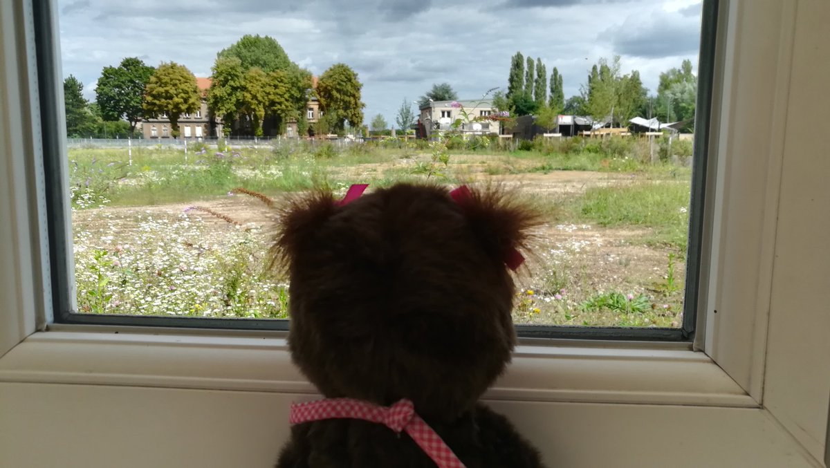 DeKikiAD's tweet photo. Kiki rêve de participer à l'émission #ADP https://t.co/P7mjXHShPa