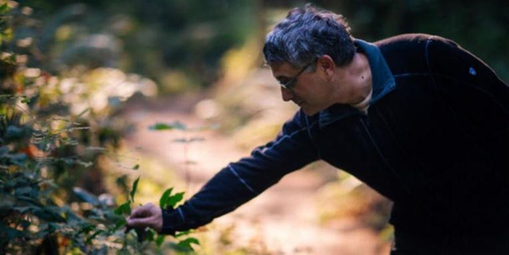 "Wildcrafting is stewardship. It’s not a one-night stand.” -herbalist Howie Brounstein​. Learn more. >>> bit.ly/EugeneWeeklyWi…