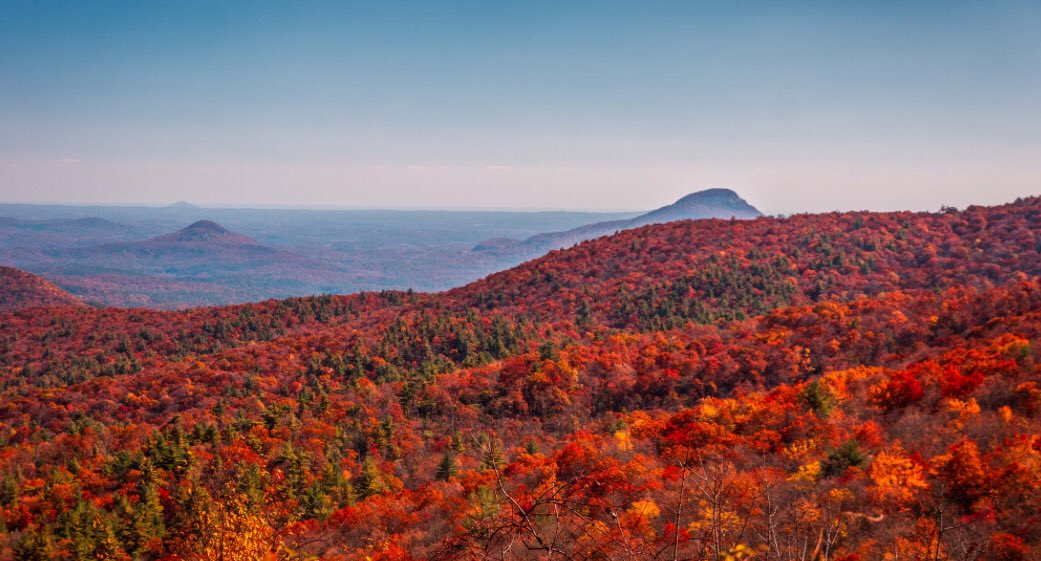GeorgiaPics's tweet image. Fall colors from the mountains in Blairsville, GA. 🍁
