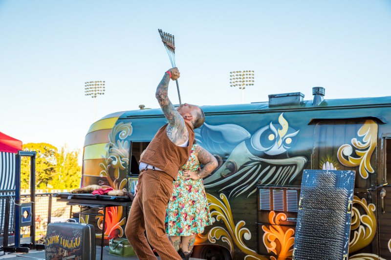 OwlOWeen Festival on Twitter "39 Days until the best day of the year