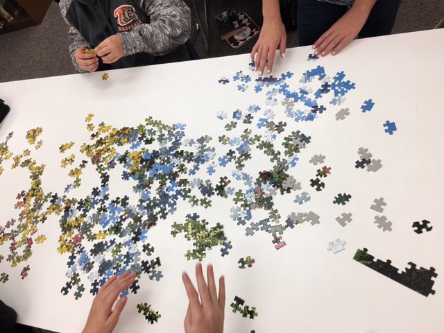 Activator, how do people react to challenges in group work? Puzzles are providing an answer.