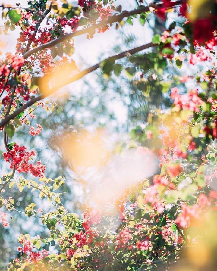 felipeponceph's tweet photo. La belleza
#fineartphotographer #fineartwedding #tucuman #bodas https://t.co/DO2nlV0clH https://t.co/c1LlAmAHBl