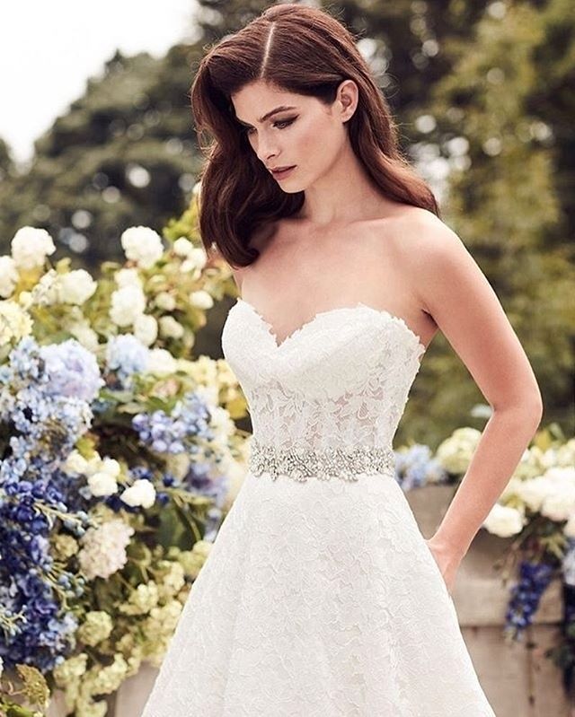NOZZEadvisor's tweet photo. La #felicità è la #salute al quadrato
#wedding #review #love #beautiful @NOZZEadvisor https://t.co/Ap1rqijEqy