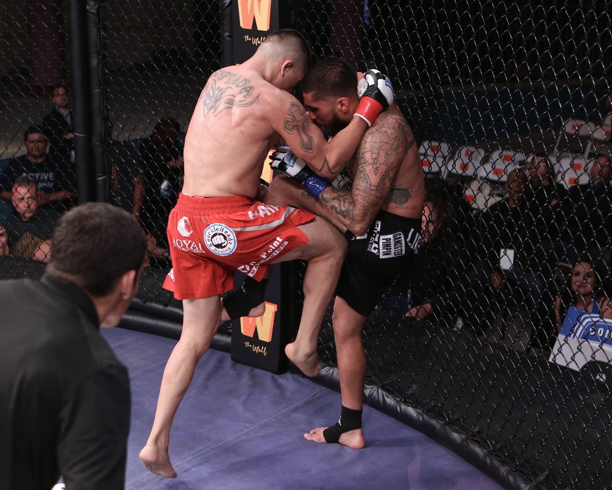 combateglobal's tweet photo. #Highlights: Jose "Froggy" Estrada vs. Izic "Lionheart" Fernandez
#Combate17 📷 @ScottHirano https://t.co/9yXBcMRIga