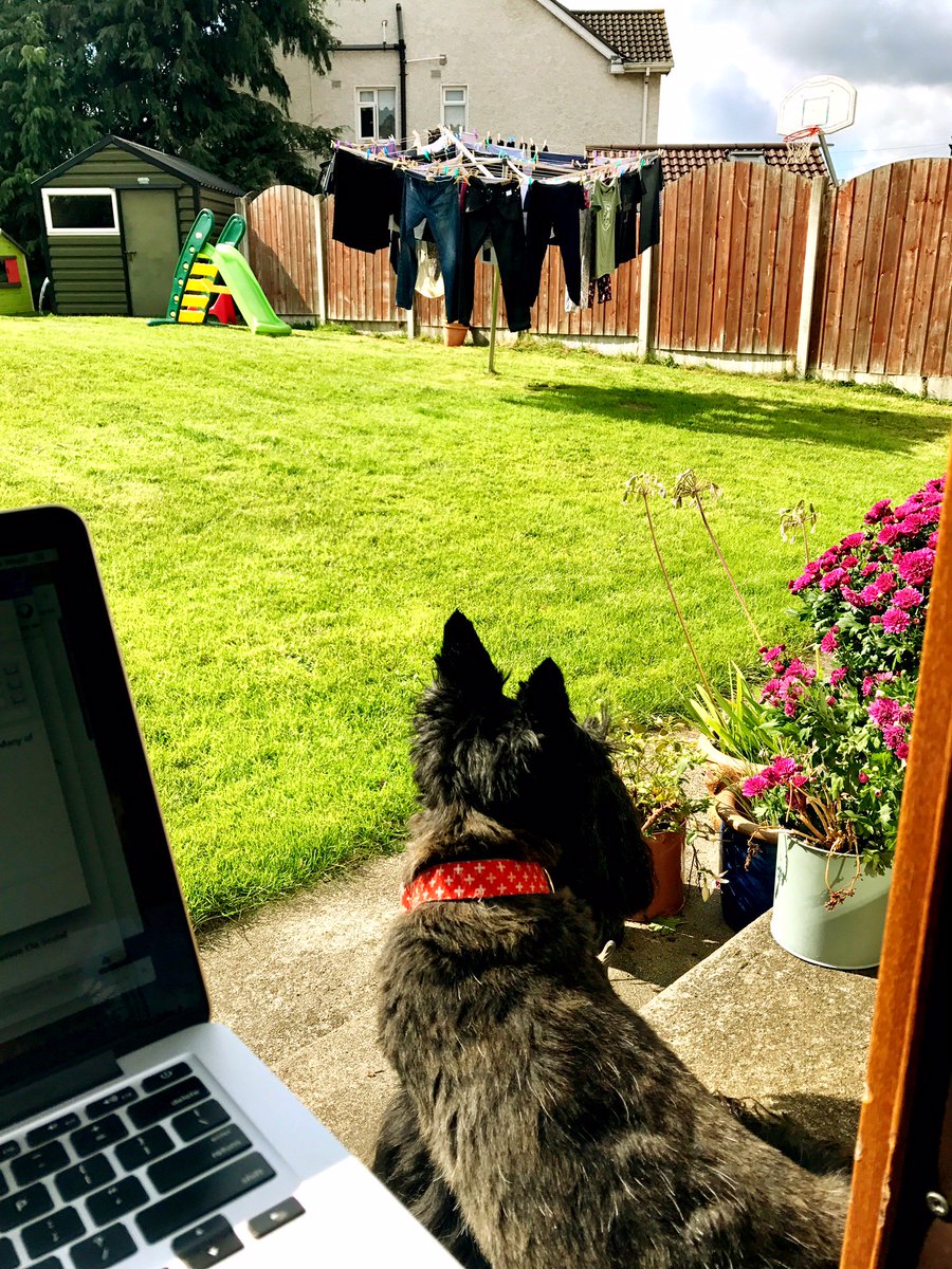 alteryx's tweet photo. #WorkflowsWithAView in #Dublin, Ireland (after #alteryx17) A #Scottish Terrier nearby and laundry hanging out to dry. https://t.co/xQUecjIs8d