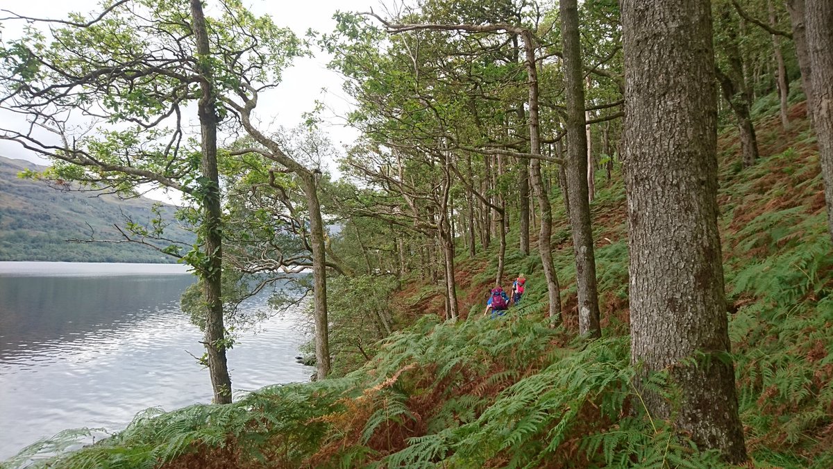 WestyHighWay's tweet photo. The beautiful low path on the banks of Loch Lomond #wemustbenearlythere #Scotland https://t.co/xVtwpM4bCP