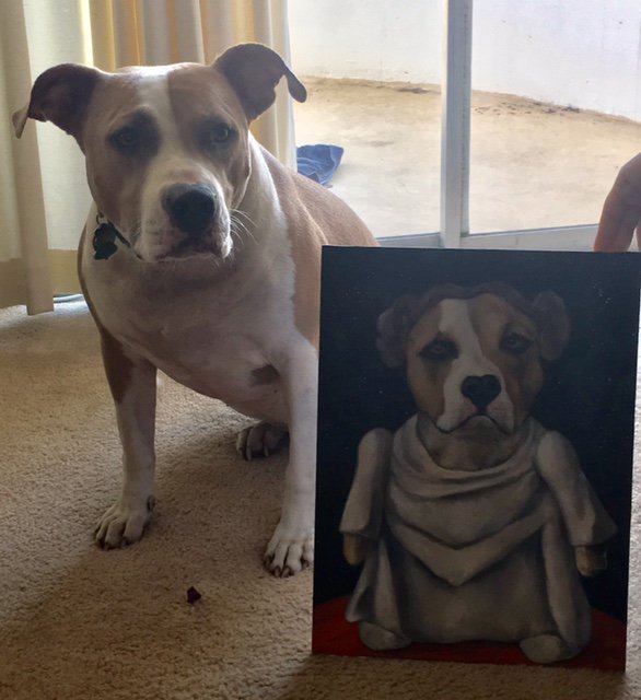 VetPronto's tweet photo. Calli art models in her spare time. Here she is as Princess Leia :) https://t.co/iwp9CPRkds