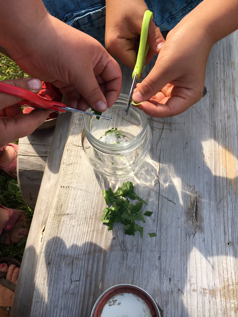 MrsWroeQEPS's tweet photo. Learning about how trees pull nutrients back for storage in winter and chlorophyll pigments today #hiddencolour #naturallyconnected @LSF_LST https://t.co/36jVxj9UVM