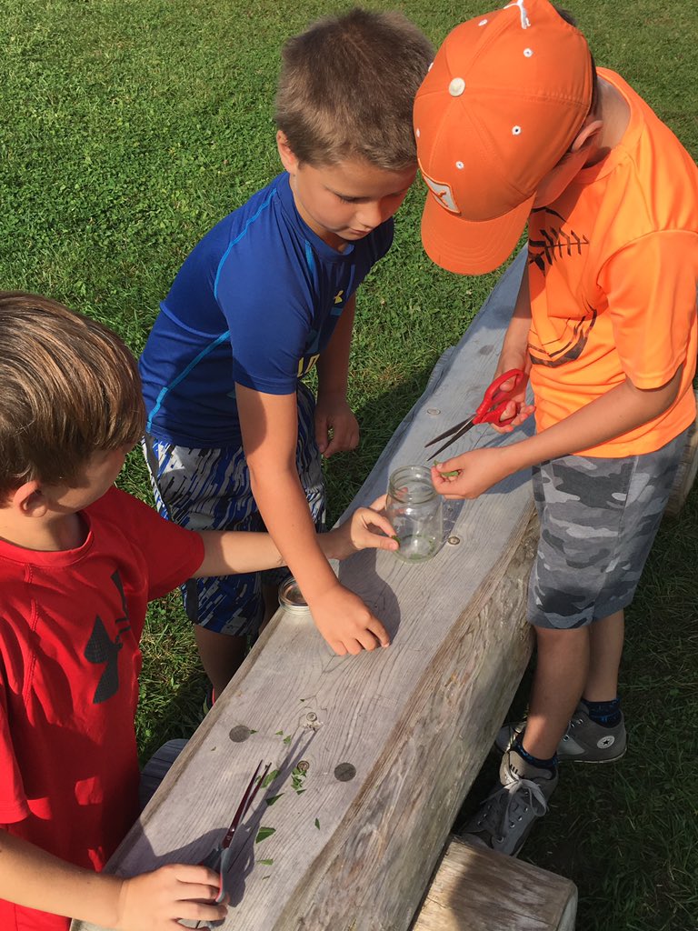 MrsWroeQEPS's tweet photo. Learning about how trees pull nutrients back for storage in winter and chlorophyll pigments today #hiddencolour #naturallyconnected @LSF_LST https://t.co/36jVxj9UVM