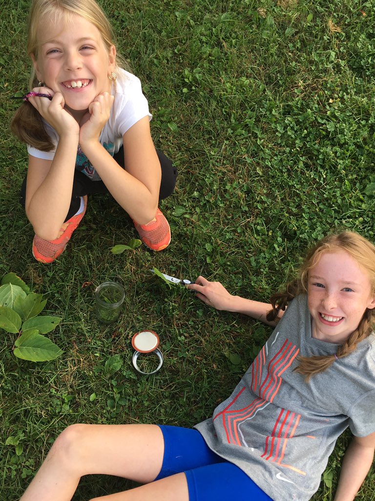 MrsWroeQEPS's tweet photo. Learning about how trees pull nutrients back for storage in winter and chlorophyll pigments today #hiddencolour #naturallyconnected @LSF_LST https://t.co/36jVxj9UVM