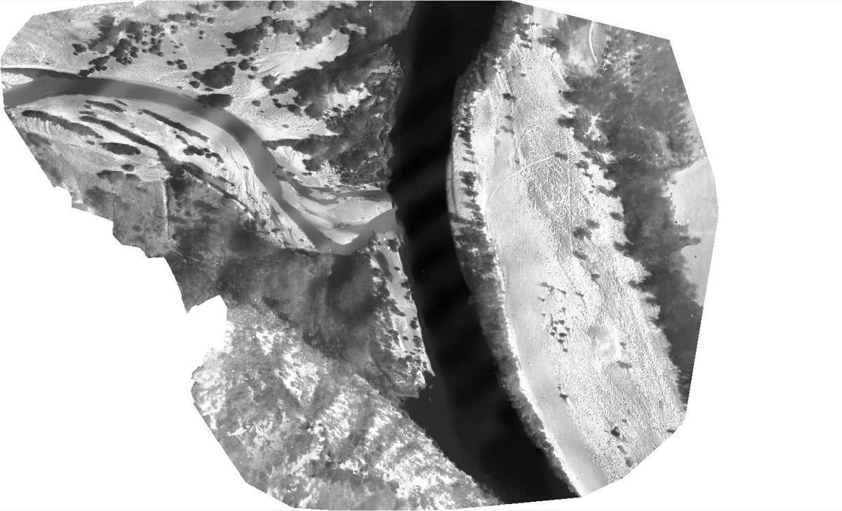 Sacramento River thermal IR map for <a href="/NOAA/">NOAA</a> <a href="/NOAAFisheries/">NOAA Fisheries</a> using <a href="/sensefly/">senseFly, now AgEagle</a> eBee Plus and thermoMAP payload #salmon #UAS #drone
