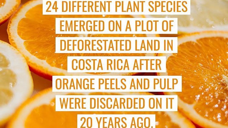 GreenMatters's tweet image. Researchers @Princeton confirmed that this #compost project increased biomass (organic matter) by 176%. #learngreen #livegreen #greenmatters