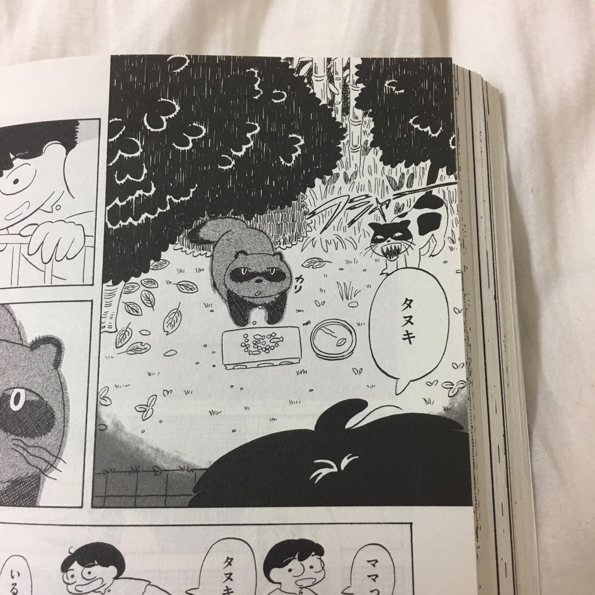 発売中の『アックス』に載ってる世良田波波さんの短編がメチャメチャ面白いのですが、その1コマ、タヌキとネコの夢みたいに可愛い攻防戦が、なんとこの間まで住んでいた家の庭で毎日繰り広げられていたのです! 