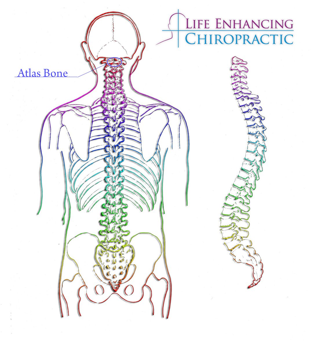 ChiroEnhancing's tweet image. Think of your body's #nerves like a network of highways. If one part backs up #Traffic can't flow which can cause pain, numbness, or worse