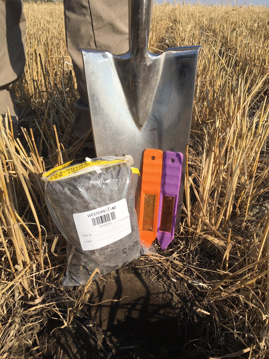 Elliott_R_H's tweet photo. Inaugural fall '17 sample for #PRS soil anaysis and #Cropcaster balanced fertility planning for #plant18! https://t.co/DyLE6xtTLC https://t.co/UV3kWcc6nR