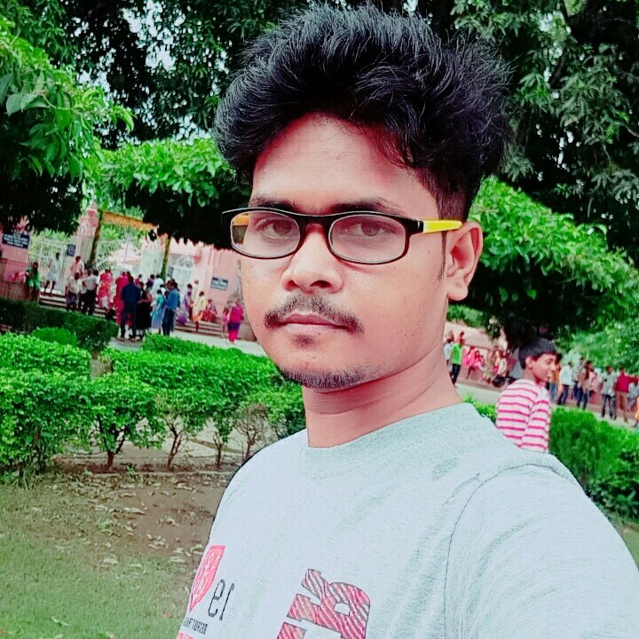 bindvikash10's tweet image. 