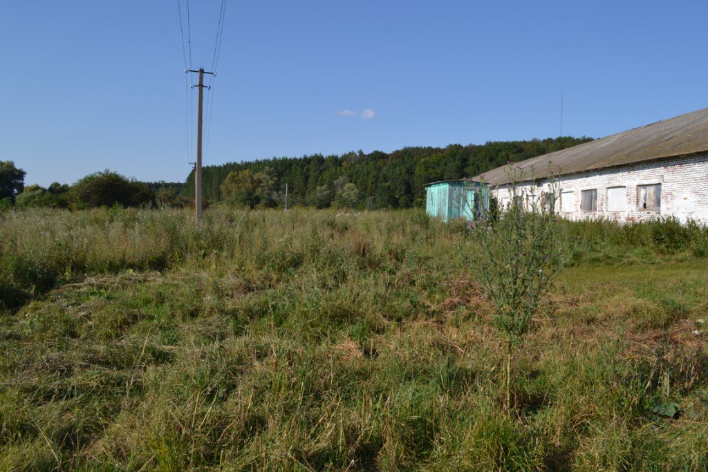 №2 Продается земельный участок в селе. Алаторка (бывшая ферма)

Подробности по ссылке: goo.gl/PaKJuo