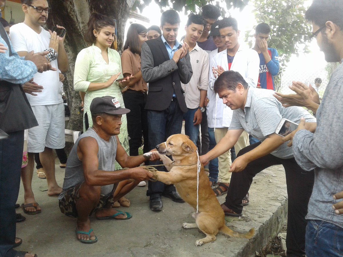 Depz_smile's tweet photo. Sep17th:Anti-Rabies Vaccination Camp at Bharatpur Metropolitan,16 Bijaynagar, Vaccinated dogs 80 @EndRabiesNow @RabiesAlliance @IvsaNepal https://t.co/oeod4vK1jN