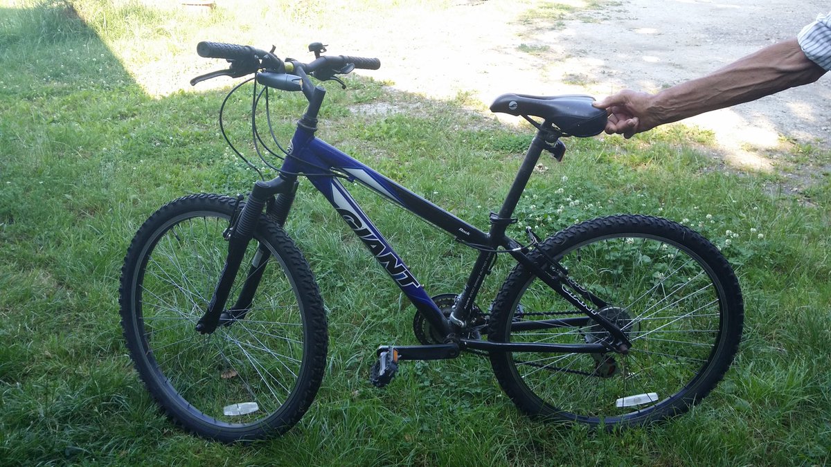 giant rock ladies mountain bike