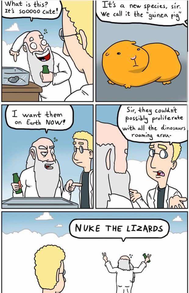 💣🦎 How #guineapigs came to be, according to the Adventures of God #webtoon: bit.ly/2y9zERz