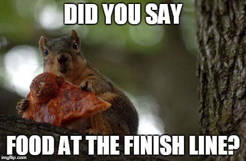 It's the <a href="/IUSquirrels/">Squirrel </a> favorite time of year again - #JB5K time! They (and we) can't wait for the Color Run around the <a href="/IUBloomington/">IU Bloomington</a> campus!