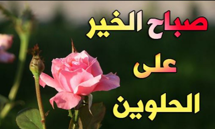 msaar49's tweet photo. https://t.co/pxgXcYHFTB