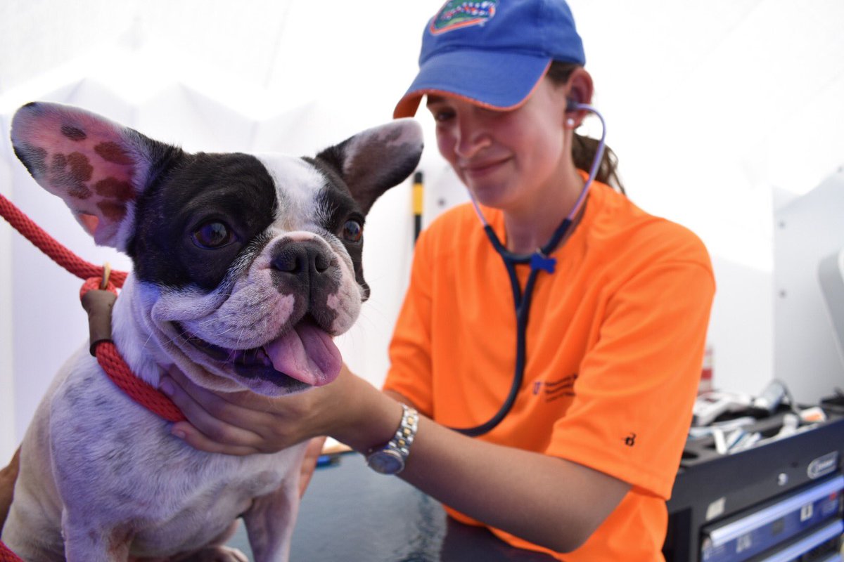 monroecounty's tweet photo. OPEN: Emergency pet services available at 6593 S Roosevelt Blvd #KeyWest. No charge, no one turned away. #KeysRecovery @UFHealth https://t.co/FS94zzifm6