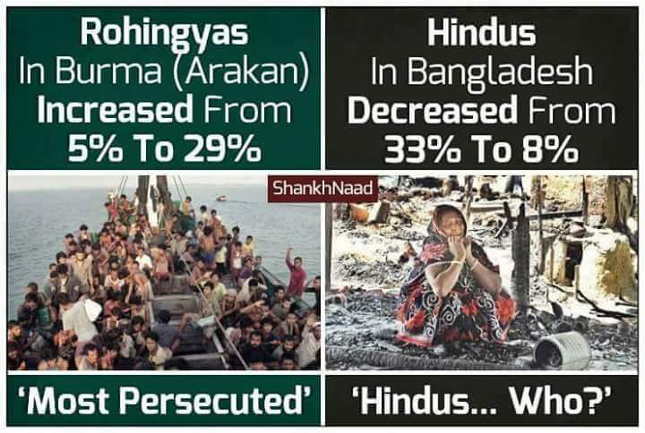 Do you know why?# the reason #Myanmar is in danger of migrants reproducing like rats.