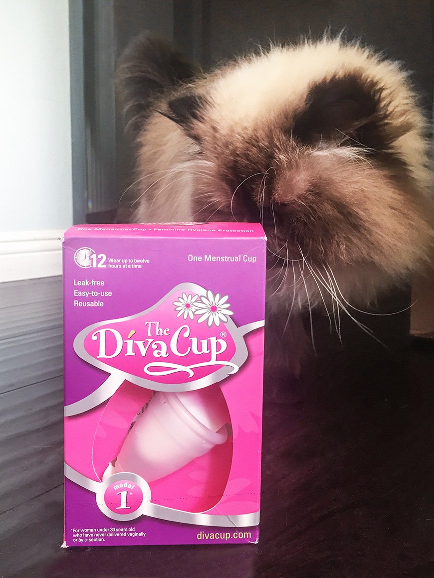 kailayu's tweet photo. Get my free printable travel grooming checklist fting @TheDivaCup Download here: https://t.co/ct6CPAN9D8…checklist-travel
#PeriodConfidence https://t.co/O8OyxqDnSF