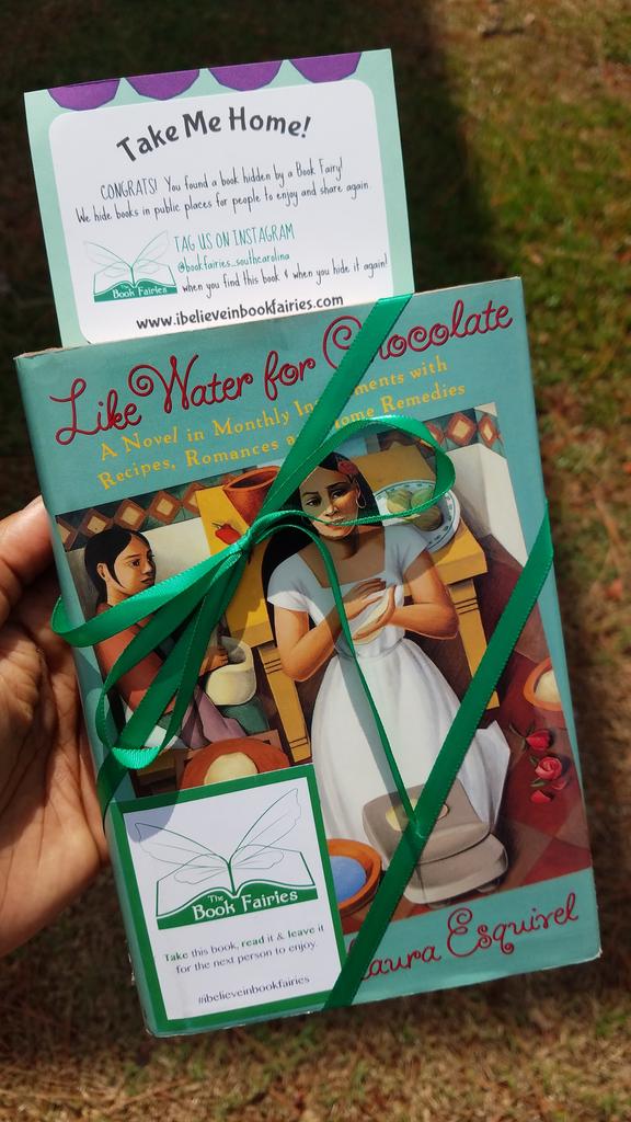 HelpingKidsRise's tweet photo. Look what I found at @accessfreely today! Thanks @the_bookfairies and @goodreads for #hideabookday! https://t.co/FDaaIuSWDJ