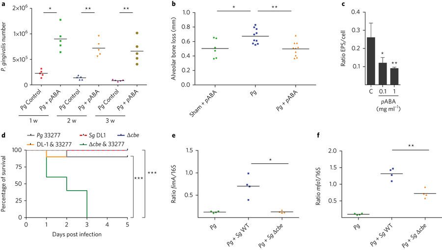 NatureMicrobiol's tweet photo. Lamont & co: Metabolic crosstalk in oral #coinfection reduces virulence but improves P. #gingivalis colonization, https://t.co/GC9Krjr059 https://t.co/8KgRae5MkP